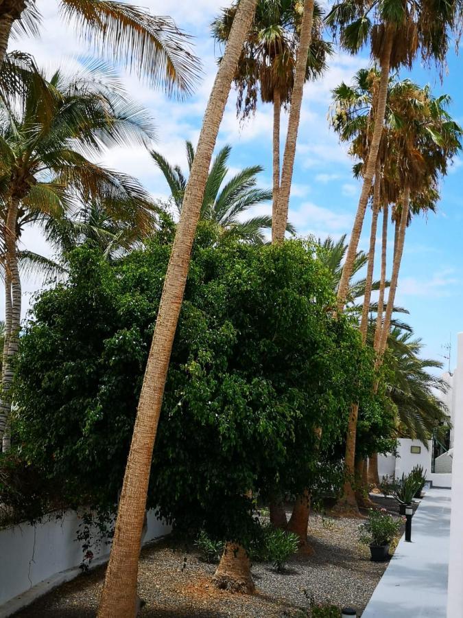 Apartamento Estrella de Mar Tarajalejo Exterior foto